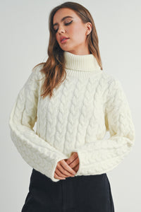 Kamryn Thick Braid With Turtle Neck Long Sleeve Sweater