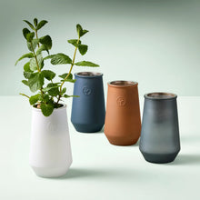 Load image into Gallery viewer, Tumbler Indoor Grow Kit: Mint