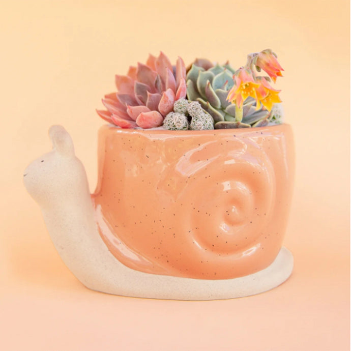 Snail Planter Pot: Sunset