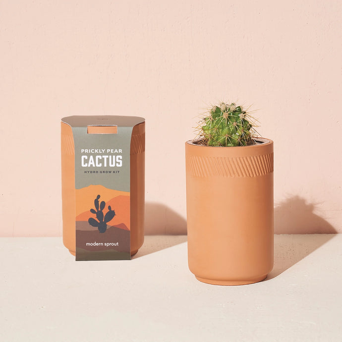 Terracotta Grow Kit: Prickly Pear Cactus