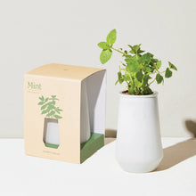 Load image into Gallery viewer, Tumbler Indoor Grow Kit: Mint