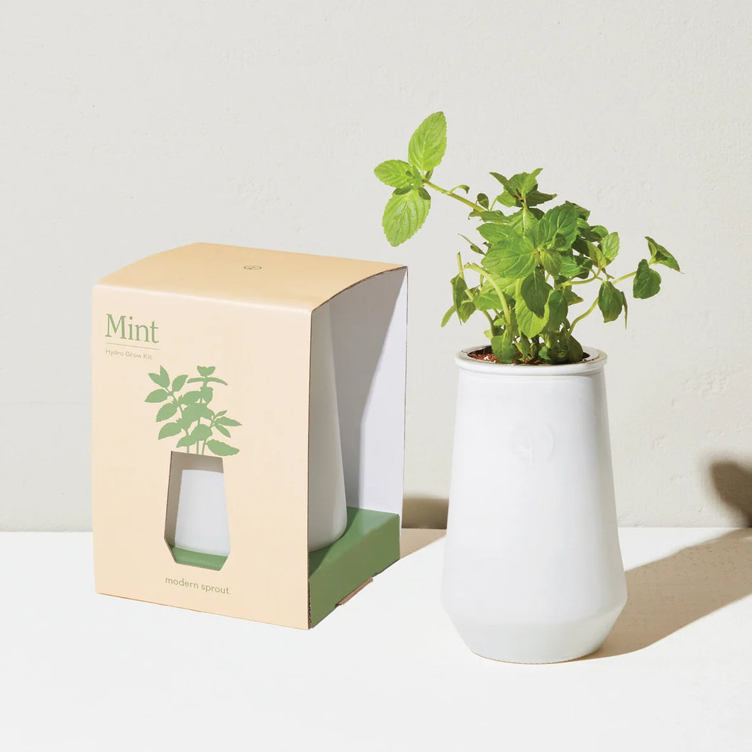 Tumbler Indoor Grow Kit: Mint