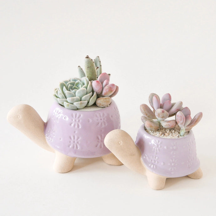 Turtle Planter Pot: Lilac